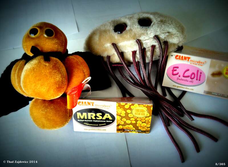 So, what do you want from an infectious diseases specialist?  These cute little stuffed toys are about the only thing that is cute about these two rogues.

Today's 365 Project (8/365)