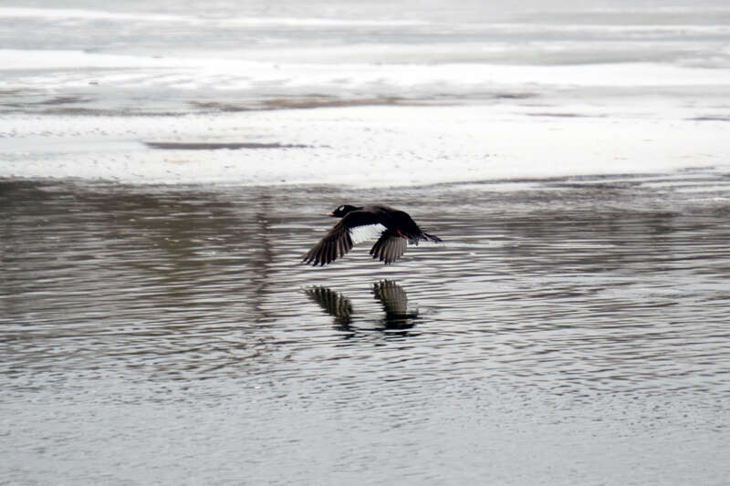 Great Miami River, Hamilton, Ohio