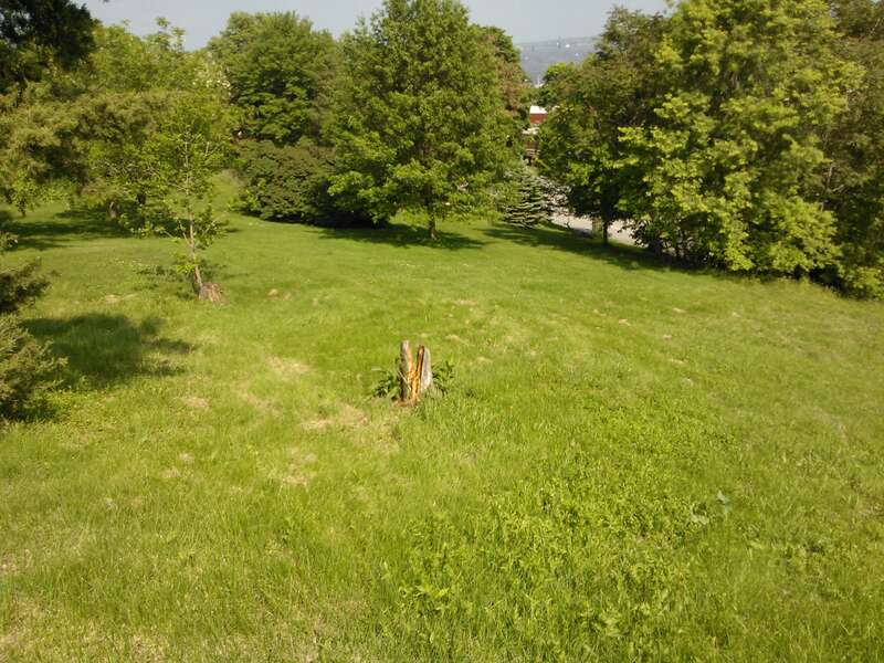 The hill in Prospect Park Davenport Iowa is listed on the Davenport Register of Historic Properties.