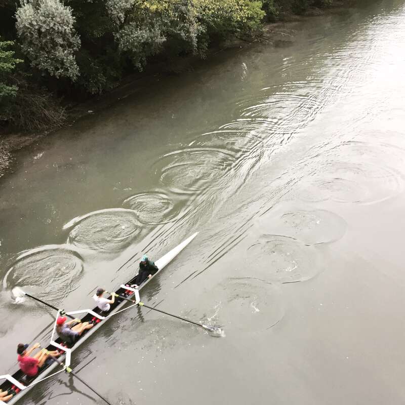 stumbled on a regatta at Luke's morning practice -- Loyola Vs. New Trier