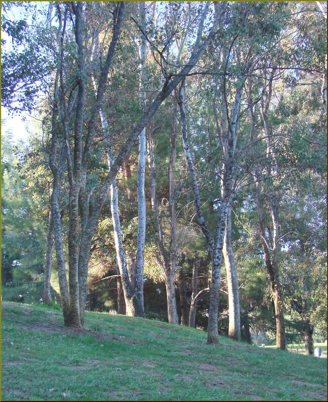 (1 in a multiple picture set)
This is a scene of quiet, peaceful, simple beauty, says I.