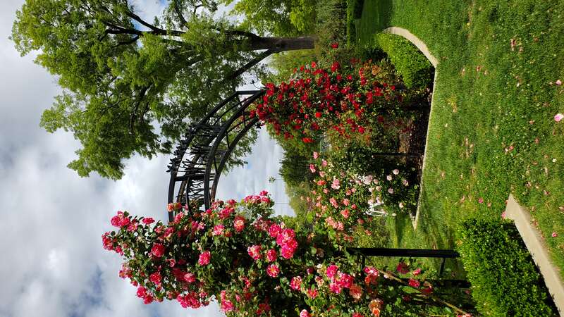 McKinley Park, Sacramento