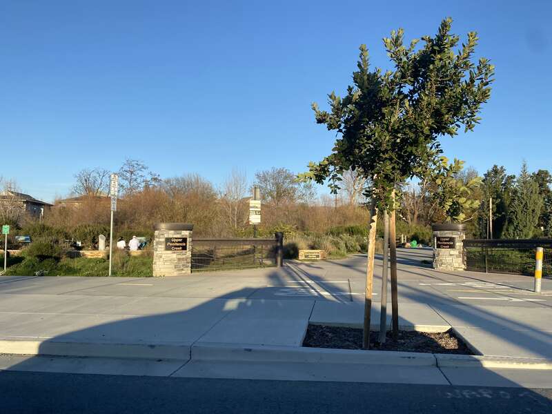 Upper Penitencia Creek