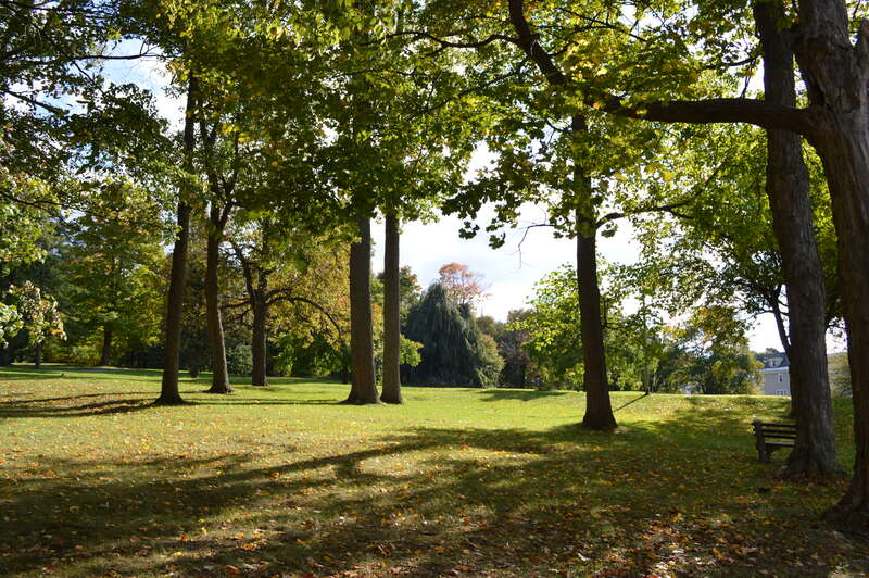 Westcott, Syracuse, NY 13210, USA