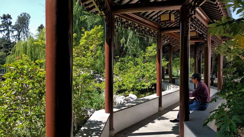 The Desert Garden here is world-famous and far exceeds every expectation. Not only are the specimens massive and rare, but they are arranged with an exceptional eye for composition. The Chinese Garden is overwhelming in its beauty, size and