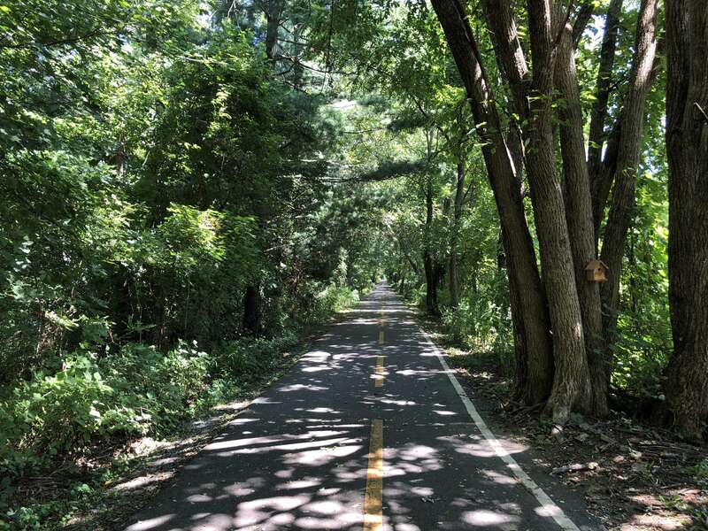 View east along the Washington and Old Dominion Trail between North Hatcher Avenue and North Maple Avenue in Purcellville, Loudoun County, Virginia