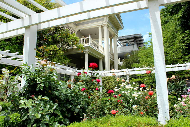 Alumni and Parent Relations - California State University, Chico, CA USA