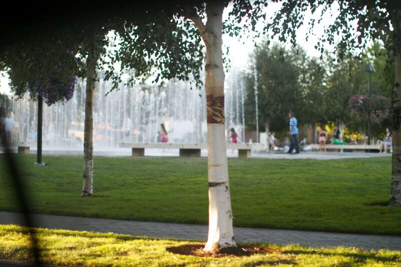 Beaverton Library Card 9