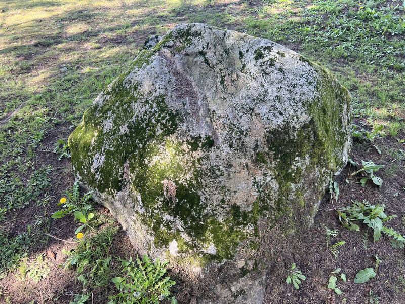 A boulder at the SeaTac Rest Area on northbound Interstate 5 north of Tacoma and south of SeaTac, Washington. This could be a glacial erratic but needs verification. The boulder is located in the green space between the car and truck lanes.