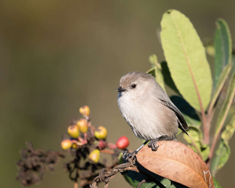 Meeker's Slough, Richmond, California