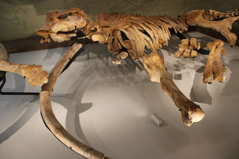 Perot Museum of Nature and Science, Dallas, Texas. Complete indexed photo collection at WorldHistoryPics.com.