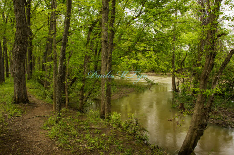 DRAKE CREEK, HENDERSONVILLE, TN