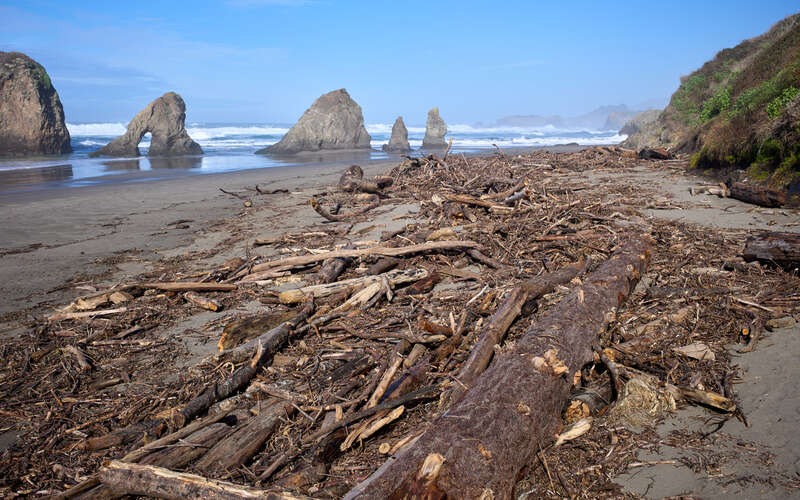 Driftwood on the beach of the Ten Mile Beach State Marine Conservation Area near Whale Rock on the Pacific Coast of Mendocino County, California, on January 30, 2024