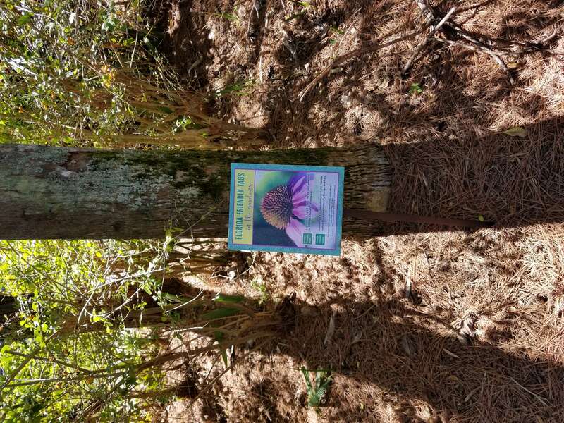 Small sign showing how Florida Friendly and Florida Native plants are labeled at Florida Botanical Gardens, Largo, FL.