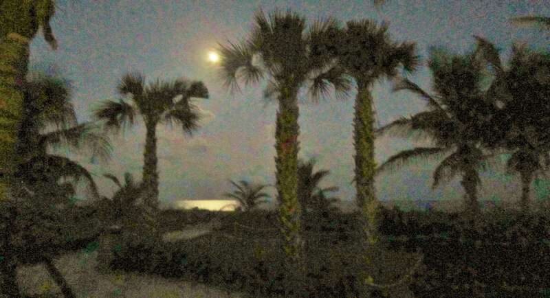 Full moon behind the palmtrees in Pompano Beach, Florida. Silhouettes de palmiers à la pleine lune sur la plage