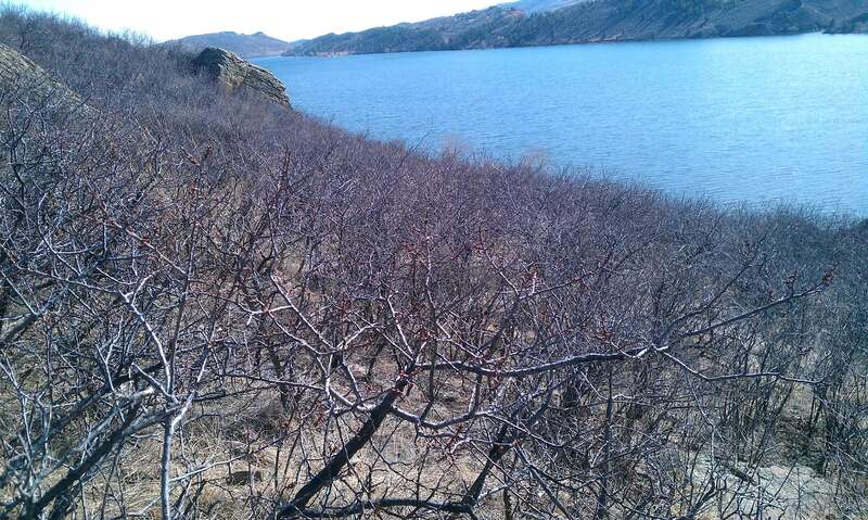 West of Fort Collins, CO, at Rotary Park