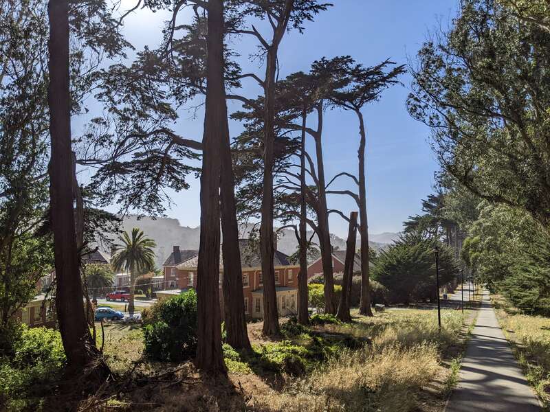 &quot;The oldest footpath through the Presidio, Lovers’ Lane was established in the 18th century as a shortcut used by Spanish soldiers and missionaries to get from the Main Post to Mission Dolores, located three miles south of the Presidio. Today, you’ll