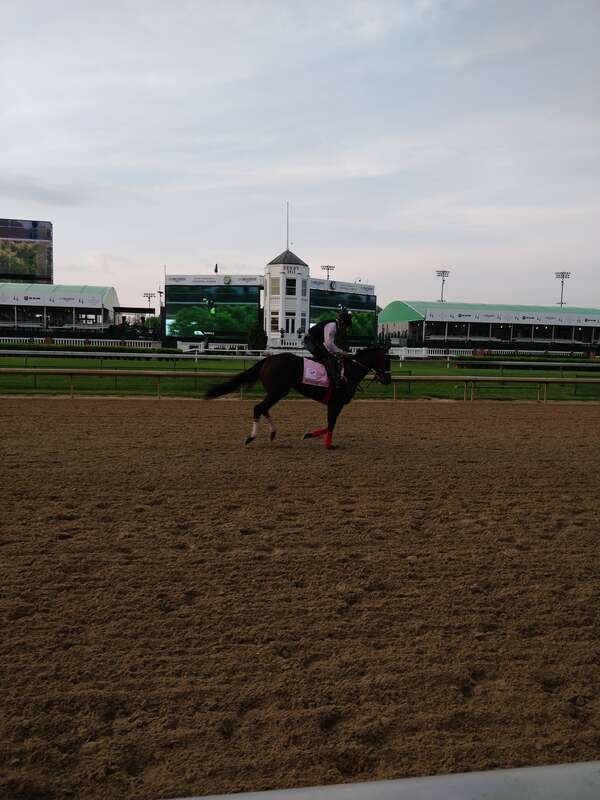 Pre kentucky Derby Workout - Midnight Bisou

Feel free to use this photo however you like, just attribute &amp;lt;a href=&quot;https://atthepaddock.com&quot; rel=&quot;nofollow&quot;&amp;gt;atthepaddock.com&amp;lt;/a&amp;gt;. Thanks!