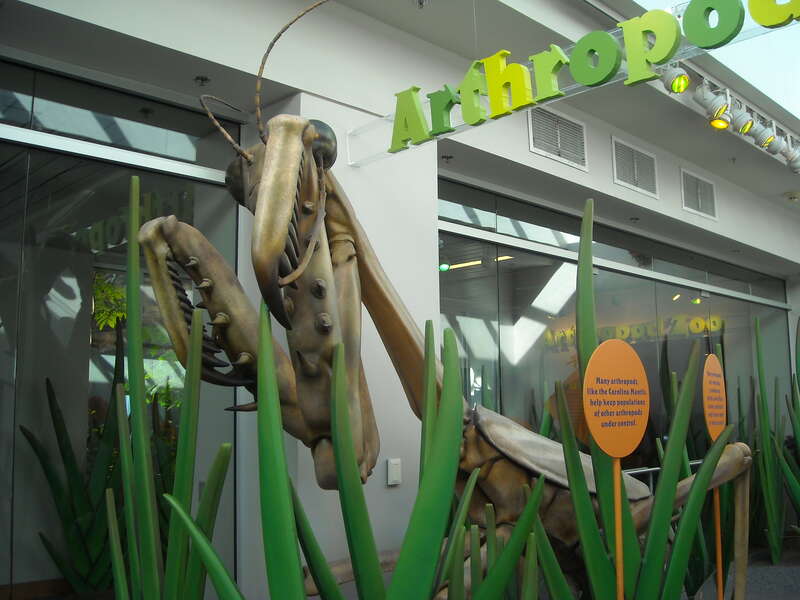 Museum of History, Raleigh, NC