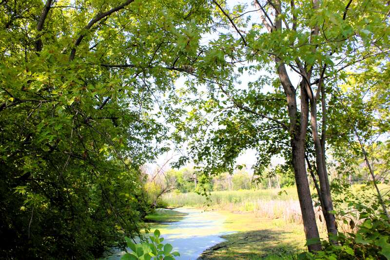 Nahant Marsh in Davenport, Iowa.