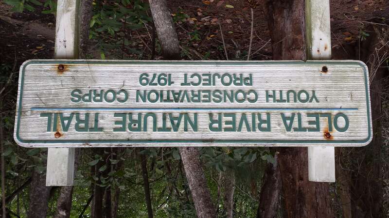 This is the sign at the entrance to the mangrove footbridge located in Greynold's Park.