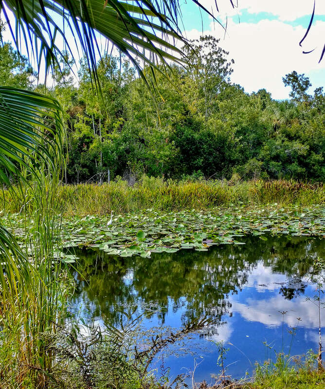 At Florida Botanical Gardens