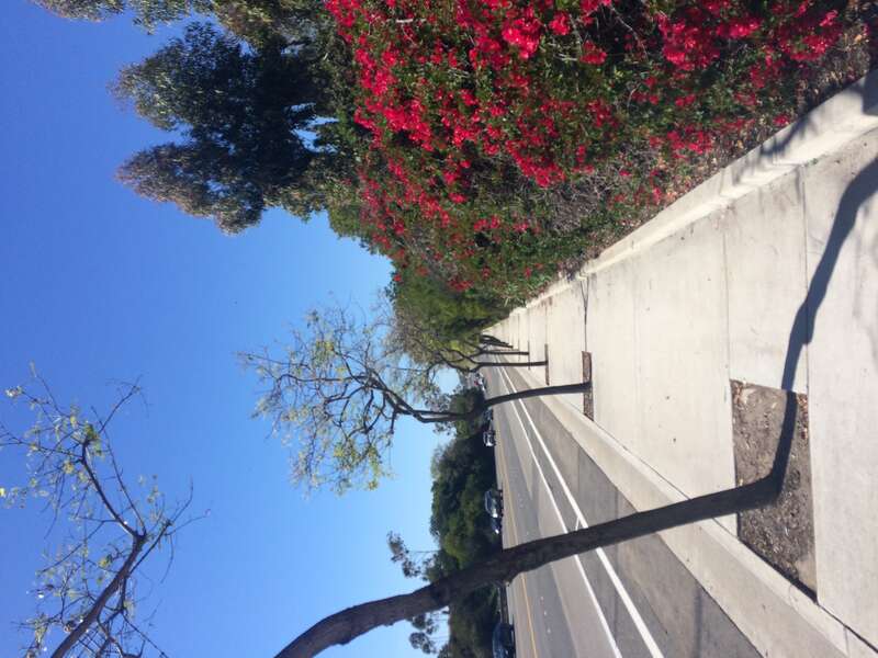 California, USA - April 2016

Los Angeles