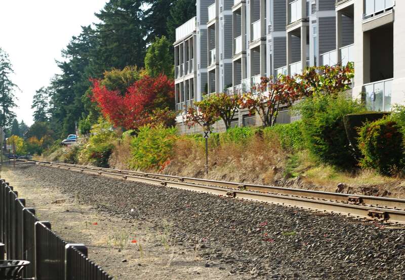 w:Portland and Western Railroad tracks in w:Lake Oswego, Oregon.