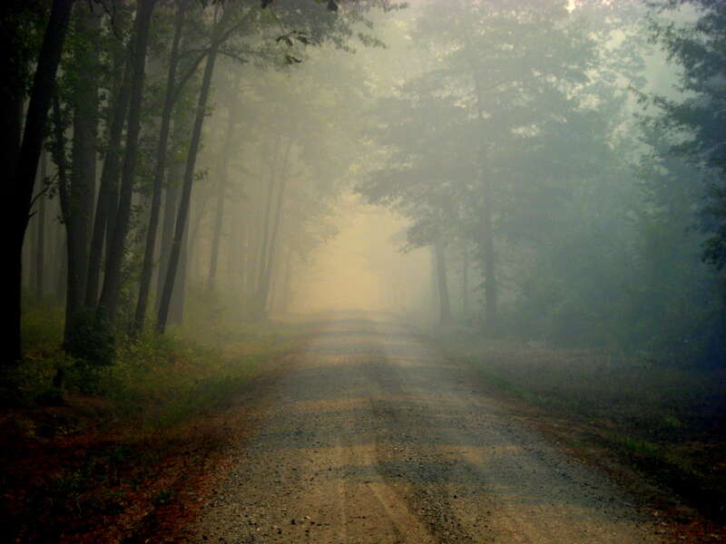 Suffolk, VA, August 2011: Smoke from the Lateral West Fire clouds the entrance to Railroad Ditch at Great Dismal Swamp National Wildlife Refuge.  Smoke generated from fire burning deep in peat soils plagued downwind areas for weeks.  Credit: Steve