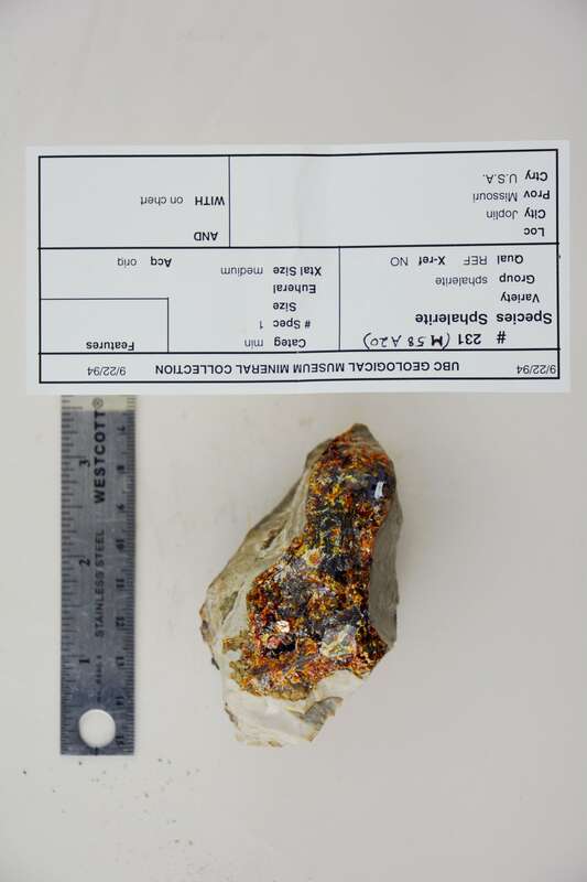 Joplin
Missouri, USA

231