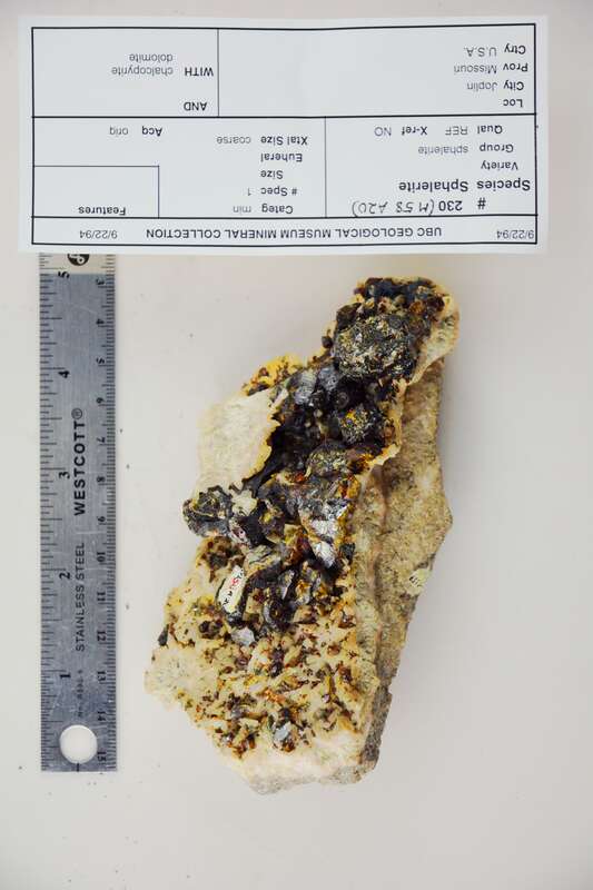 Joplin
Missouri, USA

230