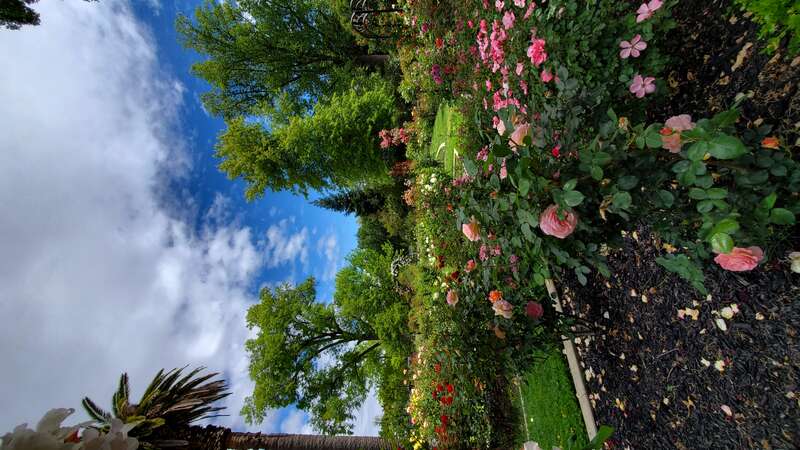 McKinley Park, Sacramento