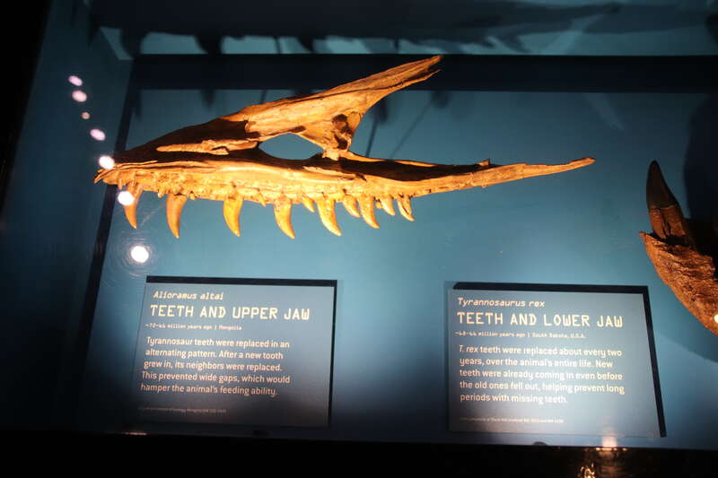 Perot Museum of Nature and Science, Dallas, Texas. Complete indexed photo collection at WorldHistoryPics.com.