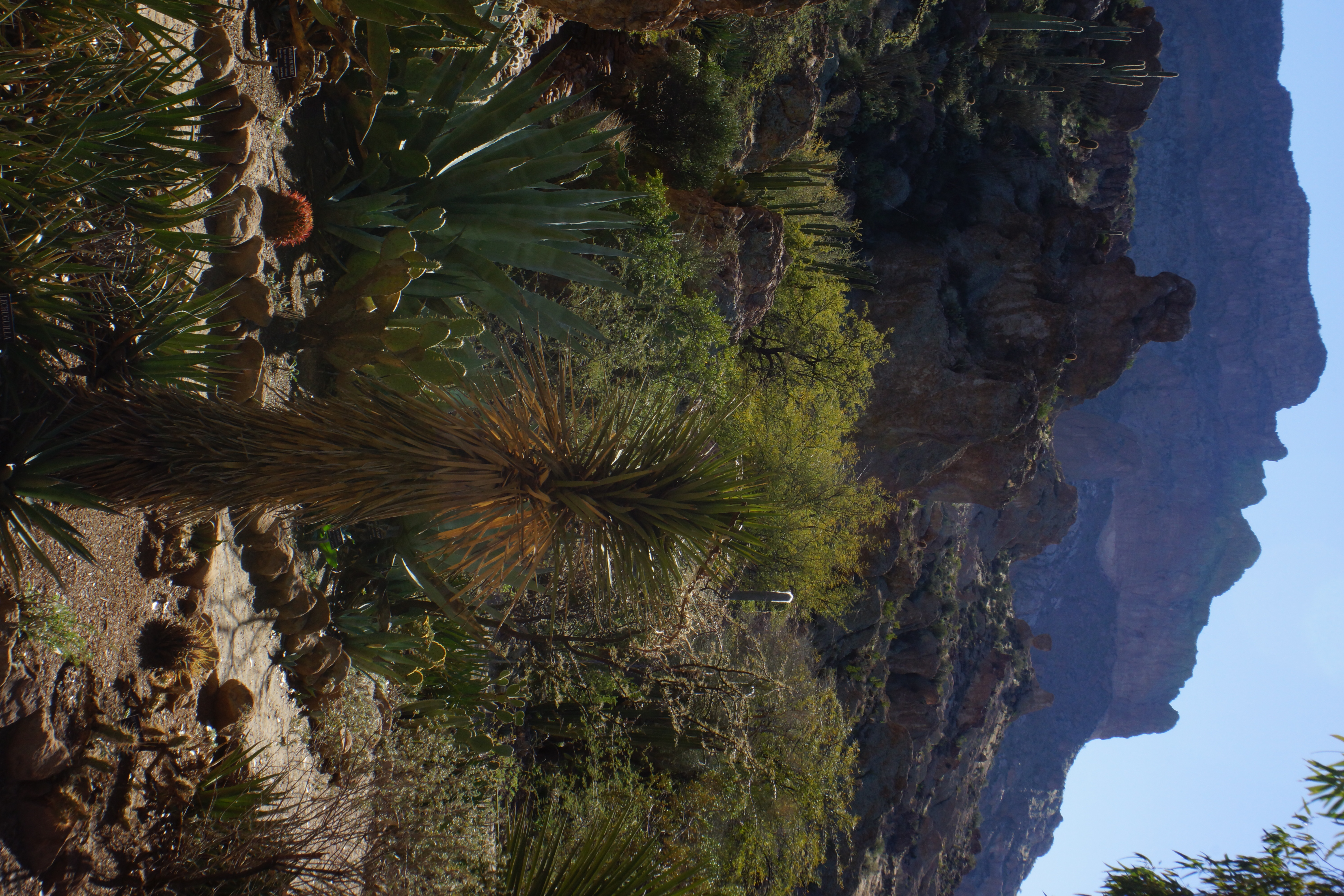 2014, Magma Ridge, Picketpost Mountain