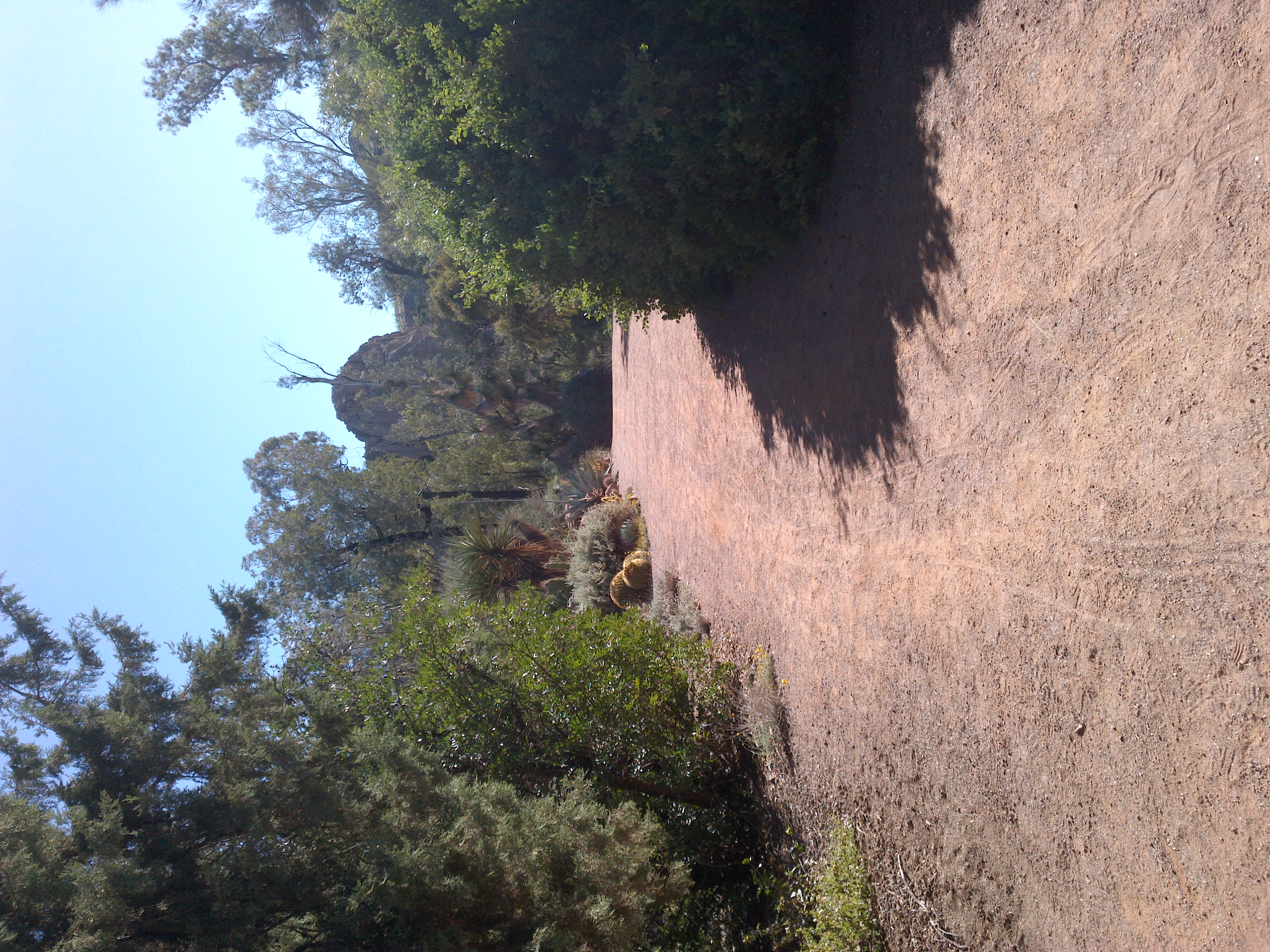 Boyce Thompson Arboretum, Superior, Arizona