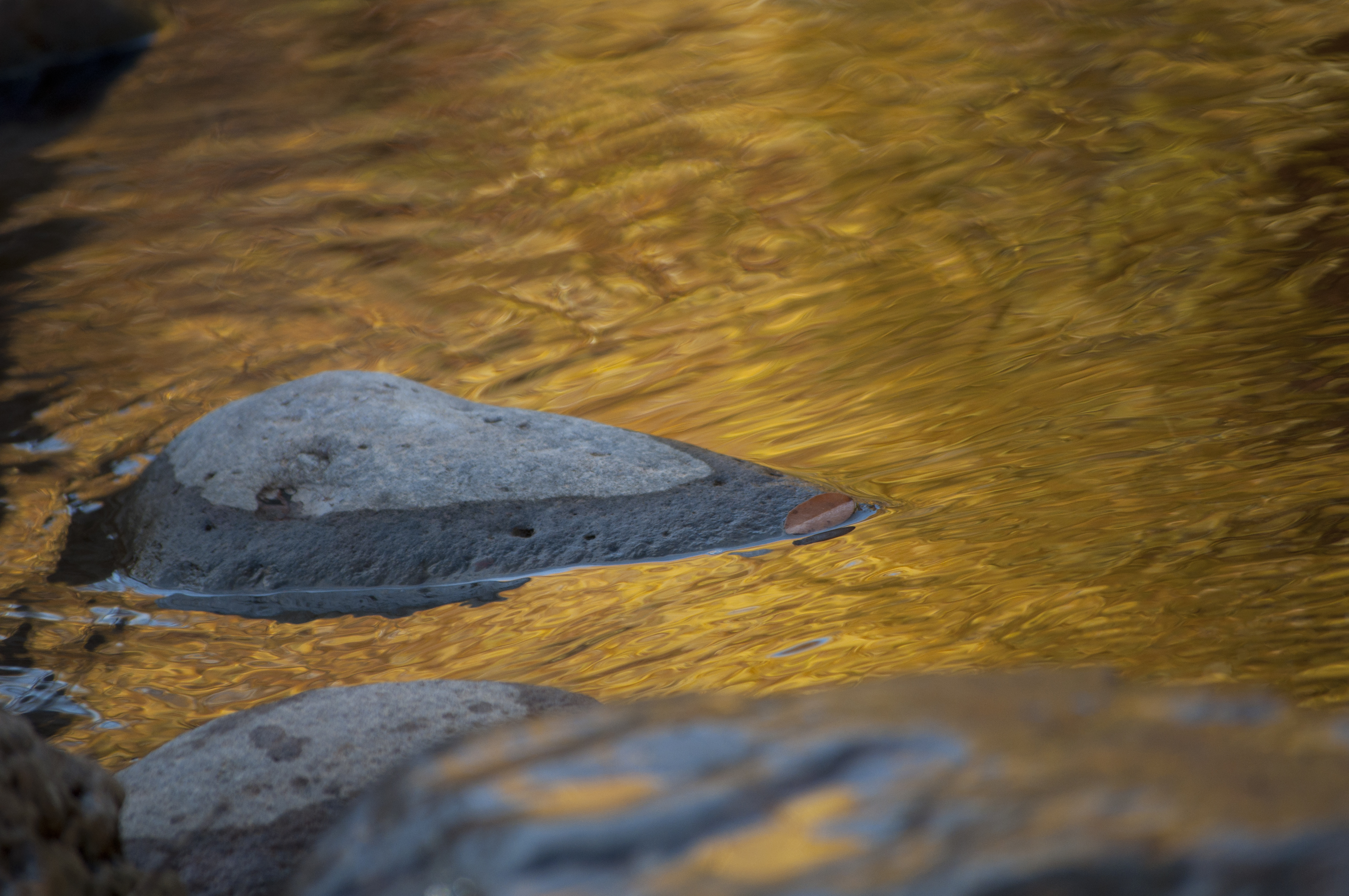Golden Water Reflections