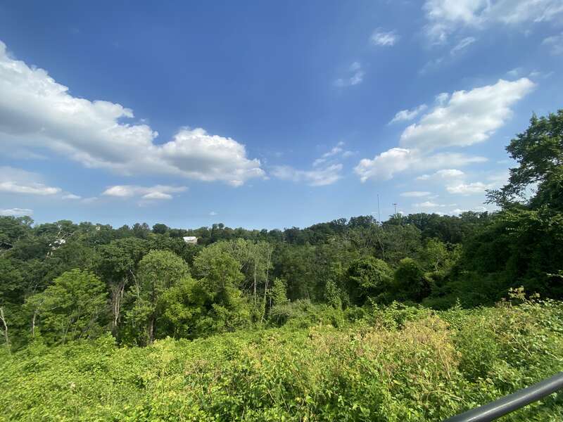 Jones Falls River Trail