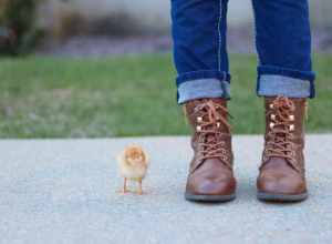 Methuen, United States