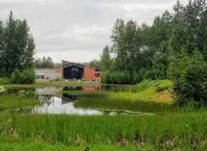 The Alaska Native Heritage Center as seen from across Lake Tiulana. The windows of the Gathering Place can be seen in the distance. A small part of an upright set of whale bones is seen on the right.