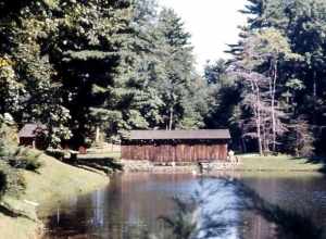 (1 in a multiple picture set)
If you are ever in Springfield, MA (birthplace of basketball, by the way), be sure to spend some time in Standley Park.  The Stanley Home Products company has donated this land to the city, and it is filled with great