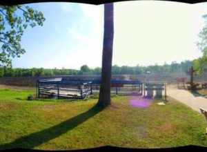 Diamond mine - like digging thru dirt that has been dug thru a million times? Here you go...