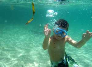 Under the Sea