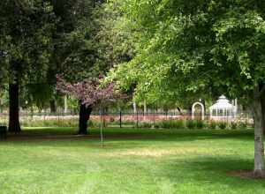 Rose Garden, Fairmount Park, Riverside, California, USA
