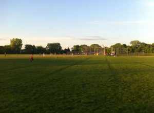 Falcon Ridge Baseball Diamonds