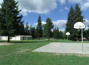 Hutchins Park In Lodi California