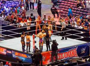 WrestleMania 32 was the thirty-second annual WrestleMania professional wrestling pay-per-view (PPV) event produced by WWE. It took place on April 3, 2016, at AT&amp;T Stadium in Arlington, Texas. Twelve matches were contested on the card (with three