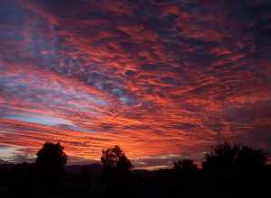 Arizona  - Fire in the Sky