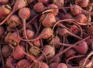 Beets (Beta vulgaris) at the Fort Mason farmers market in San Francisco.