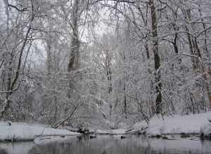 DC, Glover-Archibald Park, February 12, 2006