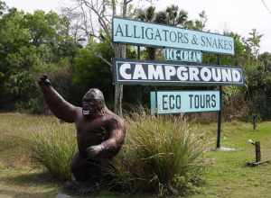 Fun Roadside Tourist Trap